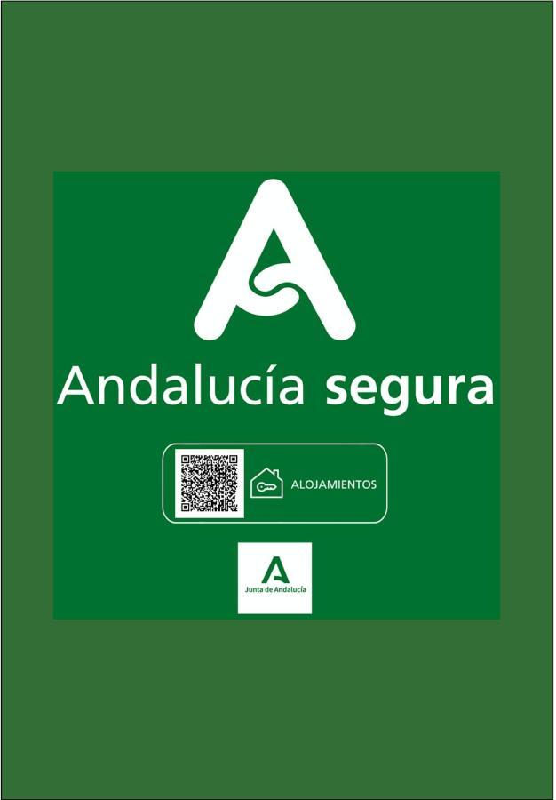 Apartmán Holidays2Malaga Junto Catedral Exteriér fotografie